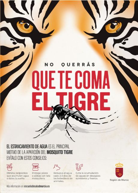 Salud aconseja evitar estancamientos de agua para impedir la proliferación de mosquitos tigre - 1, Foto 1