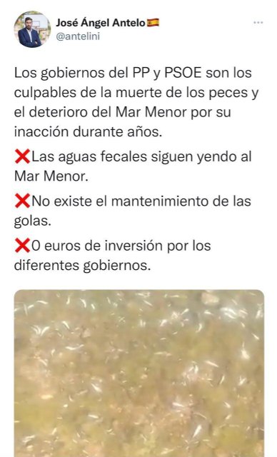 VOX Murcia exige que se depuren responsabilidades por el estado de las aguas tras las imágenes de los cientos de peces muertos en el Mar Menor - 2, Foto 2