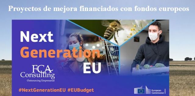 Se adjudica el contrato de asesoramiento de Proyectos Europeos Financiables Next Generation EU - 1, Foto 1