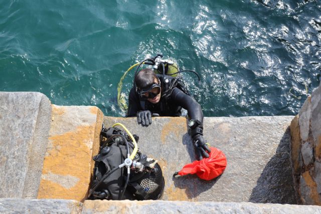 La Autoridad Portuaria contribuye a la recuperación de los fondos marinos y muestra su compromiso con la protección de la biodiversidad - 3, Foto 3