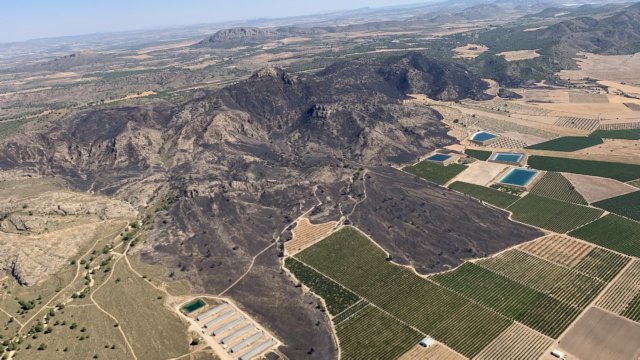 La dirección de la extinción da por EXTINGUIDO el incendio forestal declarado en el paraje de la Patoja en Jumilla - 1, Foto 1