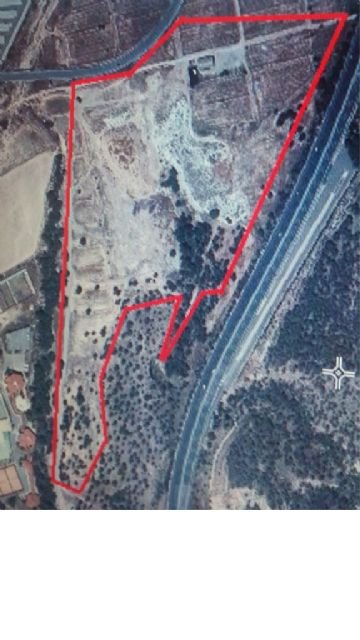 Cambiemos denuncia la tala de cientos de árboles para la urbanización Montevida del Grupo Fuertes - 3, Foto 3