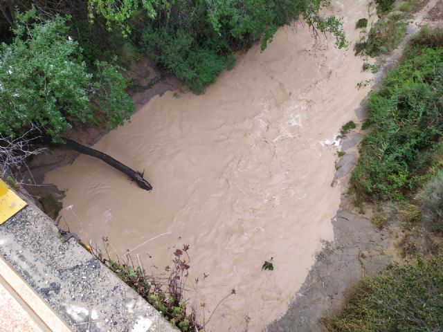 La gota fría no deja grandes incidencias a su paso por Bullas - 2, Foto 2