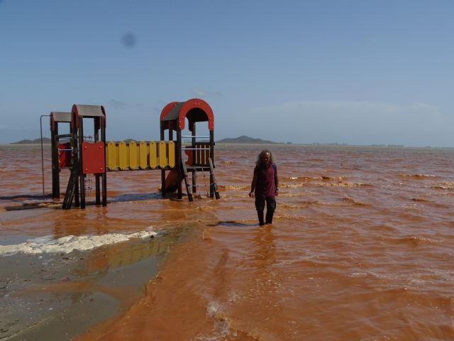 ANSE pide una reconversión de la agricultura intensiva y el urbanismo entorno al Mar Menor para evitar nuevos desastres ambientales - 2, Foto 2