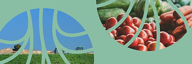 Agricultores lamentan que no se hayan implementado medidas preventivas ante una DANA - 1, Foto 1