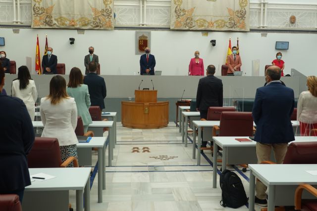 La Asamblea guardará un minuto de silencio por los fallecidos por la Covid-19 en todas sus reuniones - 1, Foto 1