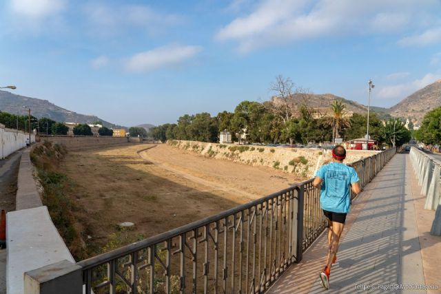 Infraestructuras concluye las obras de retirada de maleza en el tramo urbano de Benipila con la recogida de 1.000 toneladas - 1, Foto 1