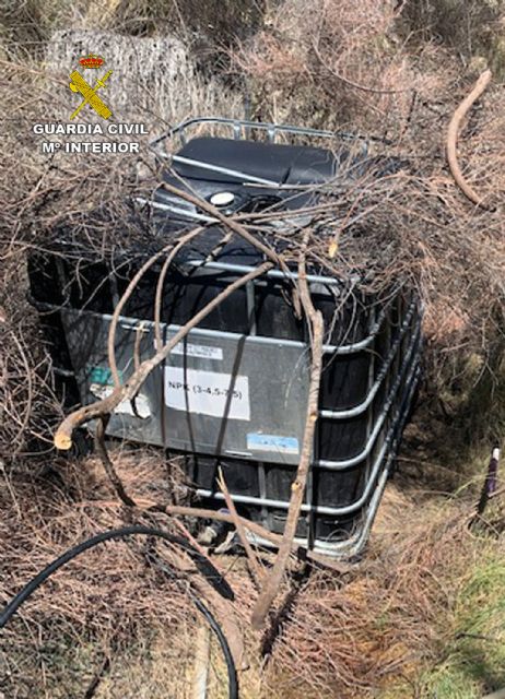 La Guardia Civil desmantela una plantación a campo abierto con 270 plantas de marihuana - 2, Foto 2