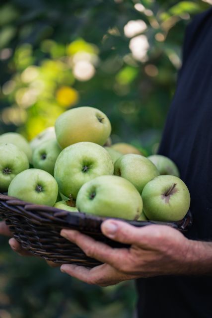 Lidl incrementa un 17% sus compras de manzanas y peras españolas en solo dos años - 1, Foto 1