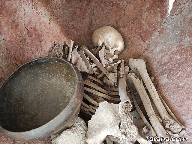 Comienzan las I Jornadas de Puertas Abiertas del yacimiento arqueológico de La Bastida, Foto 2