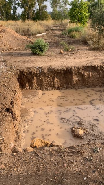 Denuncian la falta de protección en las catas arqueológicas del Cabezo del Agua Salá en Alcantarilla - 2, Foto 2