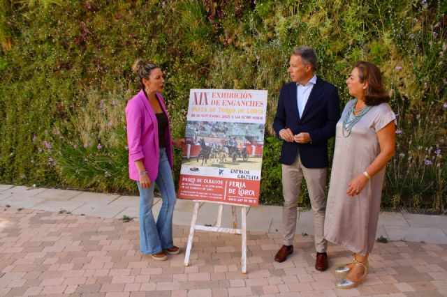 Una veintena de carruajes mostrarán sus habilidades y patrimonio en la exhibición de enganches en el Coso de Sutullena - 4, Foto 4