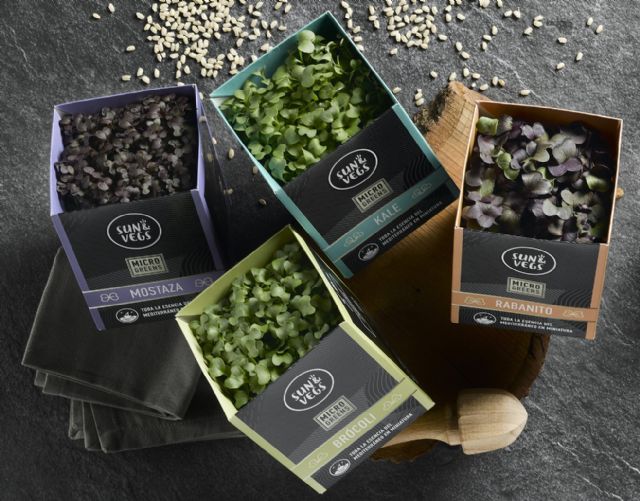 Sun&Vegs llega a Fruit Attraction con su surtido de frescos más completo: de los directos del campo a los listos para consumir - 2, Foto 2