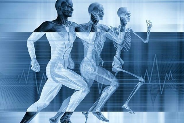 Los torreños cuentan una temporada más con el servicio gratuito de medicina deportiva - 1, Foto 1