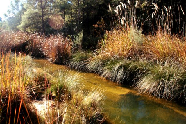 IU-Verdes apuesta por blindar las Tierras Altas de Lorca y favorecer su desarrollo sostenible - 1, Foto 1