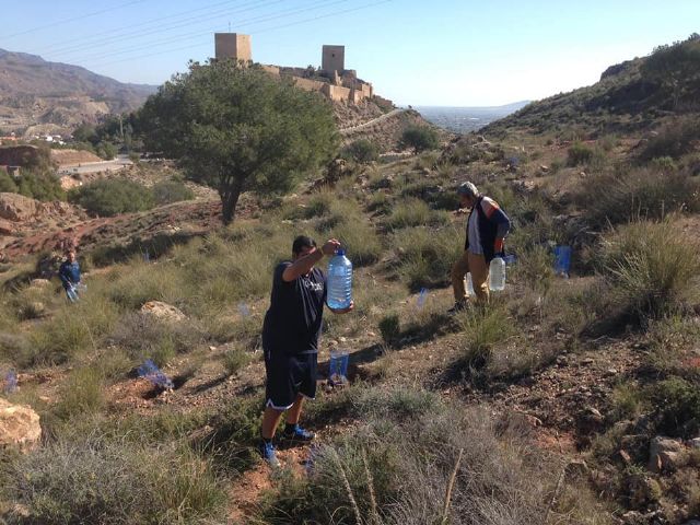 Este próximo domingo, 20 de octubre, se realizará la jornada de plantación de árboles Un ciudadano, un árbol - 1, Foto 1