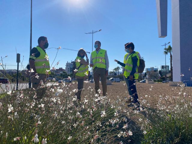 El Ayuntamiento aumenta la biodiversidad urbana y mejora la calidad ambiental - 1, Foto 1