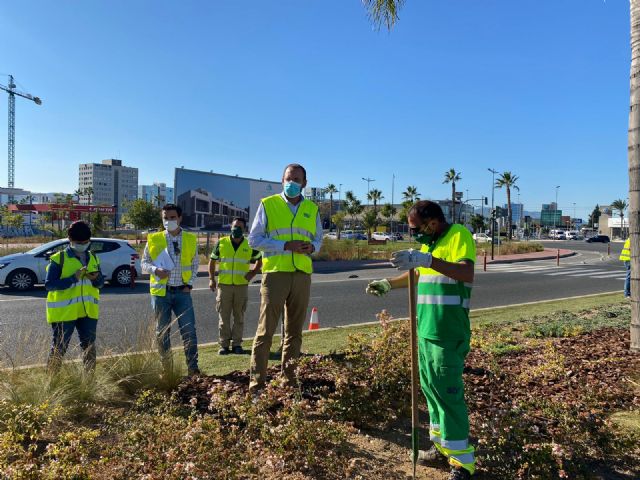 El Ayuntamiento aumenta la biodiversidad urbana y mejora la calidad ambiental - 2, Foto 2