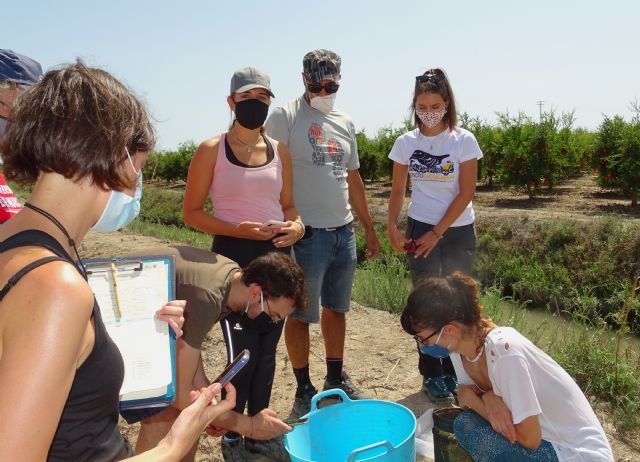 Preocupación por la situación de la anguila europea en cauces y humedales del Sureste Ibérico - 2, Foto 2