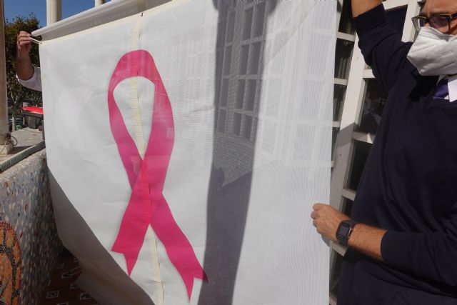 La Asamblea se tiñe de rosa en solidaridad con las personas con cáncer de mama - 1, Foto 1