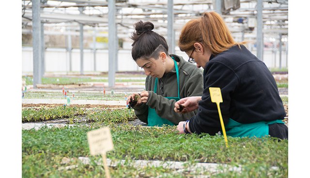 Cultura alimentaria y consumo sostenible para el futuro de la alimentación - 1, Foto 1