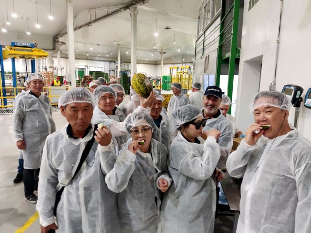 Proexport descubre los secretos del melón murciano a productores de Corea - 1, Foto 1