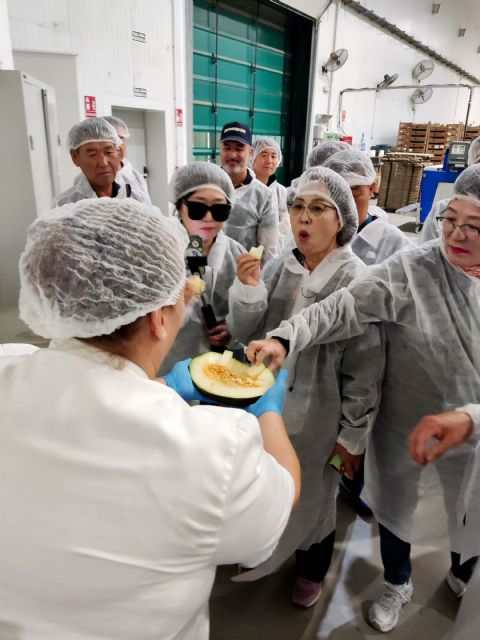 Proexport descubre los secretos del melón murciano a productores de Corea - 3, Foto 3