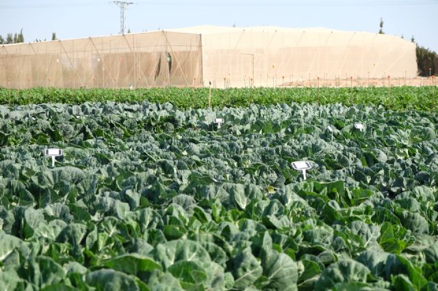 Fecoam colabora en el proyecto Nemesis para combatir la desertificación en el Mediterráneo - 1, Foto 1