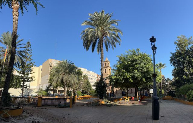 Actúa inicia la poda de más de 5.500 palmeras en Torrevieja - 2, Foto 2