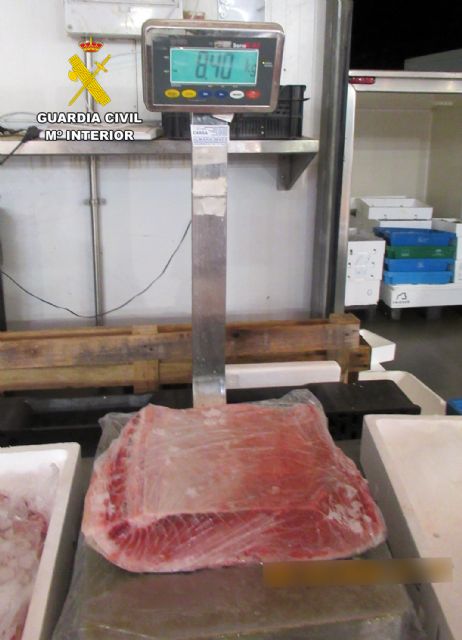La Guardia Civil detecta 16 kilos de ventresca de at�n rojo a la venta sin documentaci�n, Foto 4