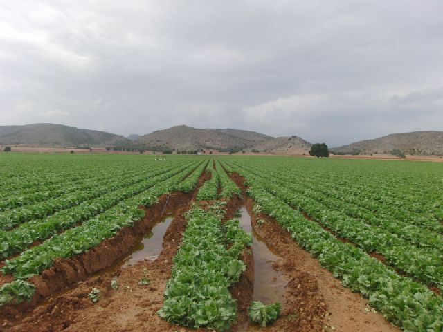 Nuestras Fuentes se Secan. Por el Futuro de Nuestro Territorio. Contra la sobreexplotación y Contra las Avionetas Antilluvia - 2, Foto 2