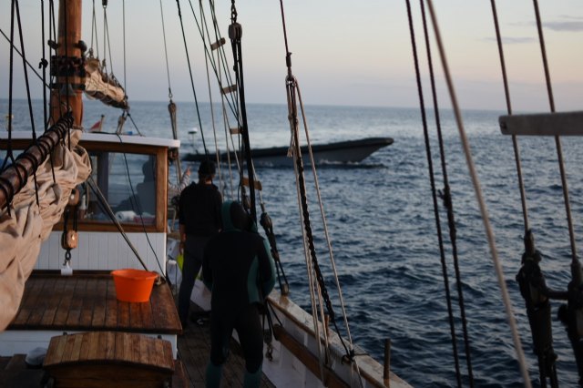 Pateras y narcolanchas: accidentada jornada de navegación del velero Else en el Mar de Alborán - 2, Foto 2
