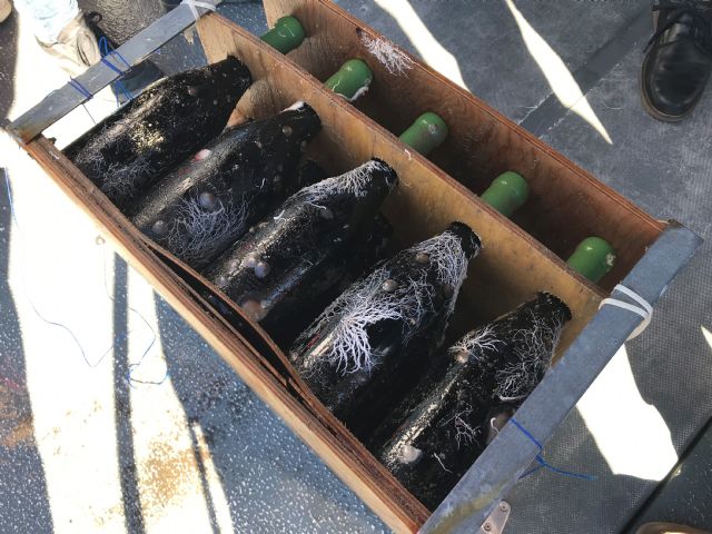 Vinos únicos producidos a 40 metros de profundidad en la costa aguileña - 2, Foto 2