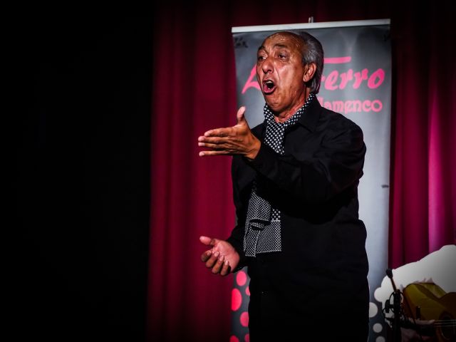 Lo Ferro celebra el Día del Flamenco - 1, Foto 1