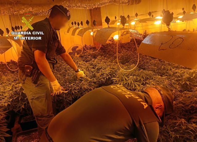 La Guardia Civil desmantela en el Valle de Ricote dos cultivos intensivos de marihuana - 1, Foto 1