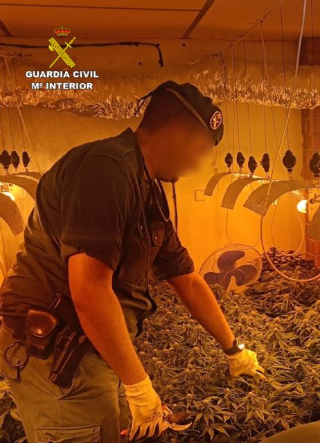 La Guardia Civil desmantela en el Valle de Ricote dos cultivos intensivos de marihuana - 2, Foto 2
