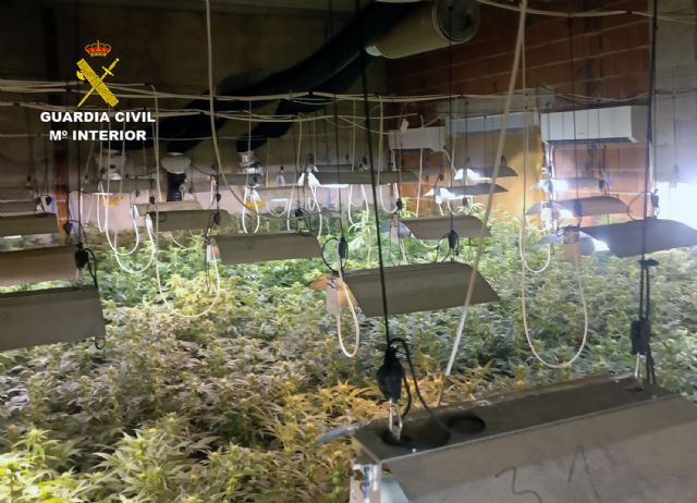 La Guardia Civil desmantela en el Valle de Ricote dos cultivos intensivos de marihuana - 5, Foto 5