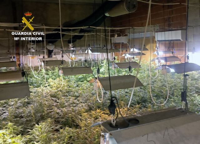 La Guardia Civil desmantela en el Valle de Ricote dos cultivos intensivos de marihuana - 5, Foto 5