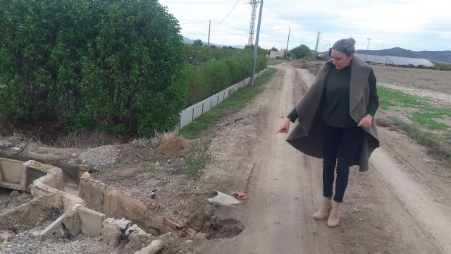 Los vecinos de los caminos Velillas, Almohades y Malvaloca denuncian la falta de seguridad vial que presentan estas vías y reclaman su arreglo - 1, Foto 1
