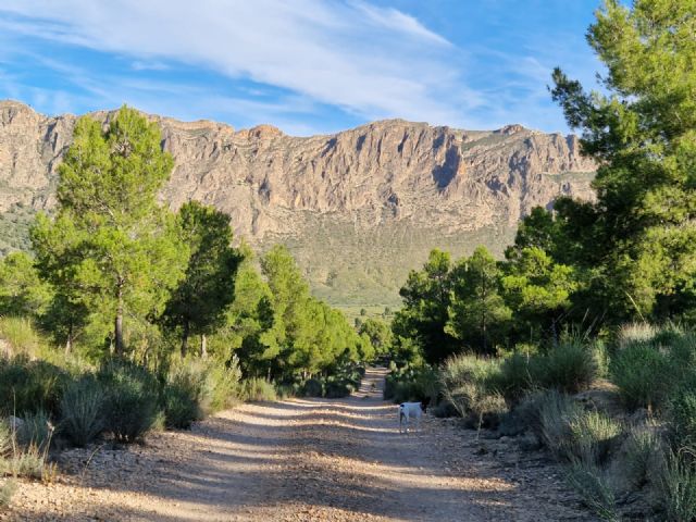 Ruta senderista Ruta de las Fuentes - 4, Foto 4