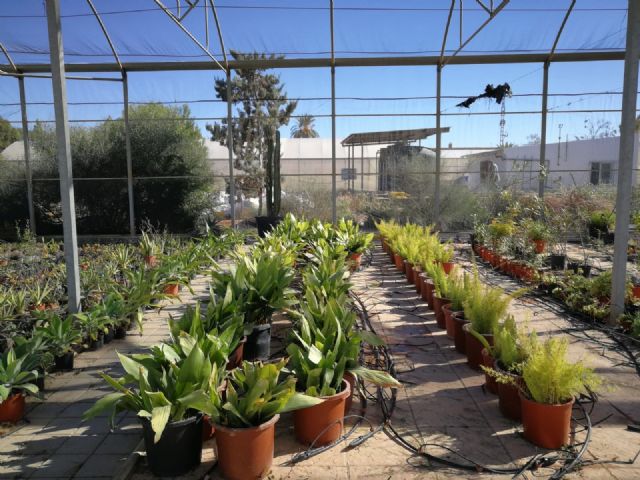 El Cifea de Torre Pacheco imparte cursos para la inserción laboral de pacientes con enfermedad mental o adicciones - 1, Foto 1