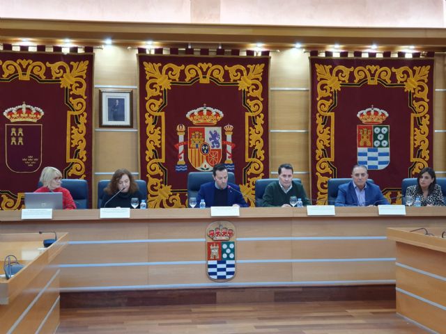 Profesionales de la salud y el Ayuntamiento de Molina de Segura presentan un programa pionero contra el mal uso de las benzodiacepinas - 3, Foto 3