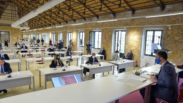 El Consejo Social de la Ciudad valora Conexión Sur como uno de los proyectos estratégicos para la próxima década - 1, Foto 1