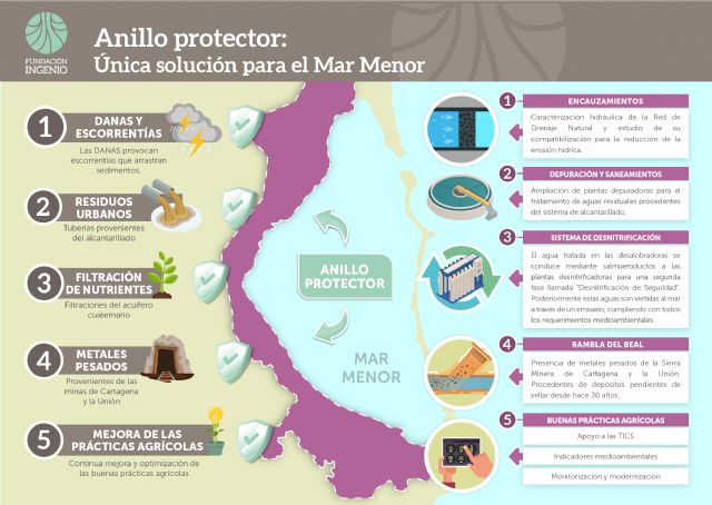 Presentan el Anillo Protector Ambiental, un plan integral y multifactorial para recuperar el Mar Menor avalado por expertos - 5, Foto 5