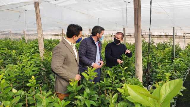 El Gobierno regional pide al Estado que agilice el reconocimiento de fitosanitarios para garantizar la competitividad del sector agrario - 1, Foto 1