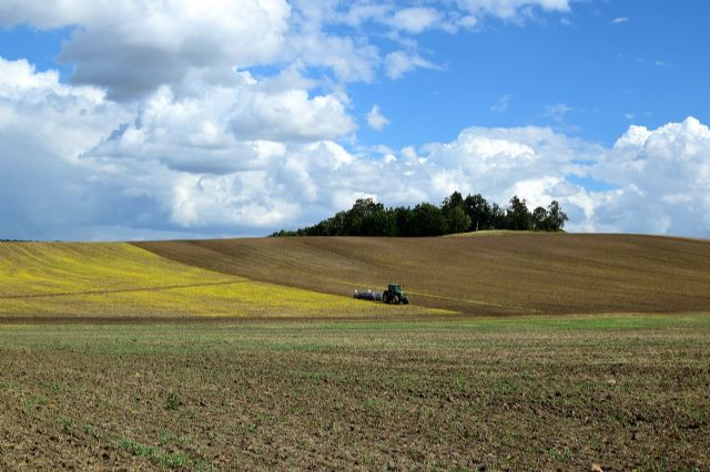 Unión de Uniones considera que los datos de Renta Agraria del MAPA ofrecen un diagnóstico alejado de la realidad de agricultores y ganaderos - 1, Foto 1