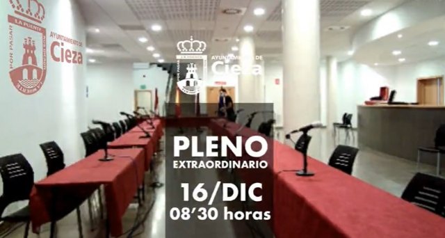 El Pleno aprueba definitivamente bonificar el IBI a inmuebles donde se desarrollen actividades económicas declaradas de especial interés - 1, Foto 1