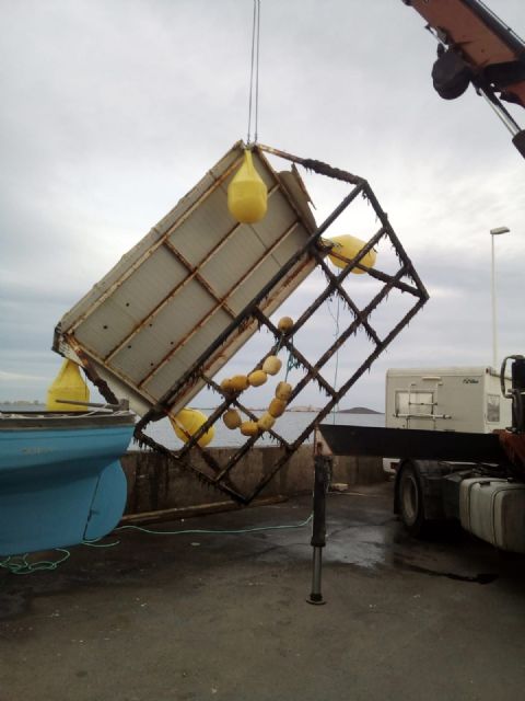 La Fundación Estrella de Levante lleva a cabo una segunda tanda de limpieza de los fondos marinos del Mar Menor - 1, Foto 1