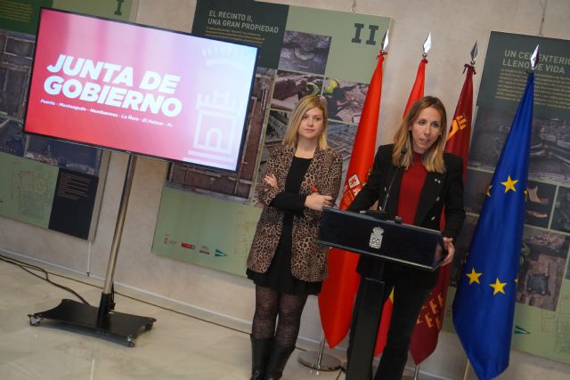 Murcia creará un consejo para garantizar la protección y defensa de los animales de convivencia humana - 1, Foto 1