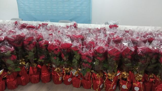 El Ayuntamiento reparte flores de pascua a 250 establecimientos para fomentar las compras y el consumo en Navidad - 1, Foto 1